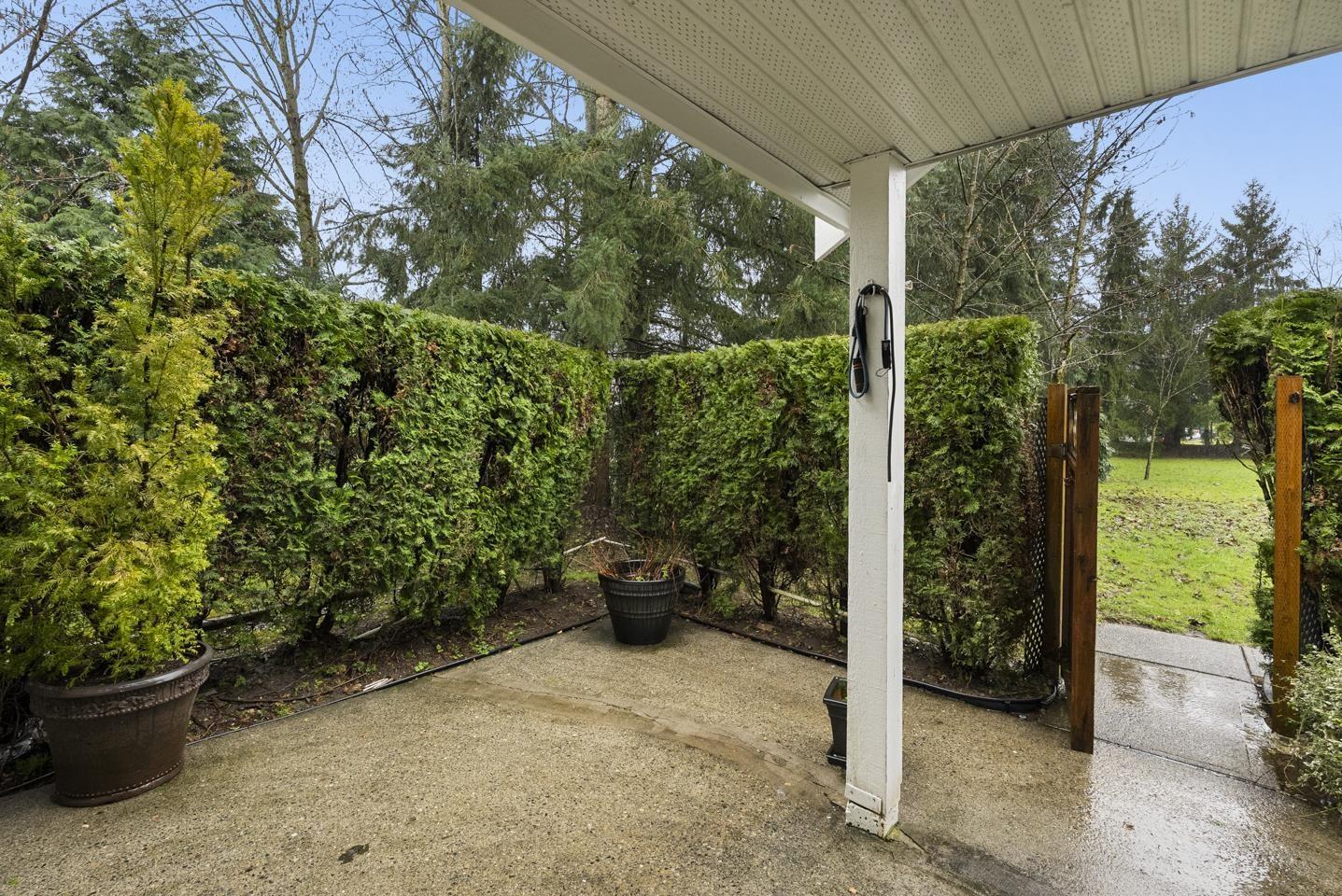 1 13660 84 Avenue, Surrey, British Columbia  V3W 0T6 - Photo 23 - R3097661