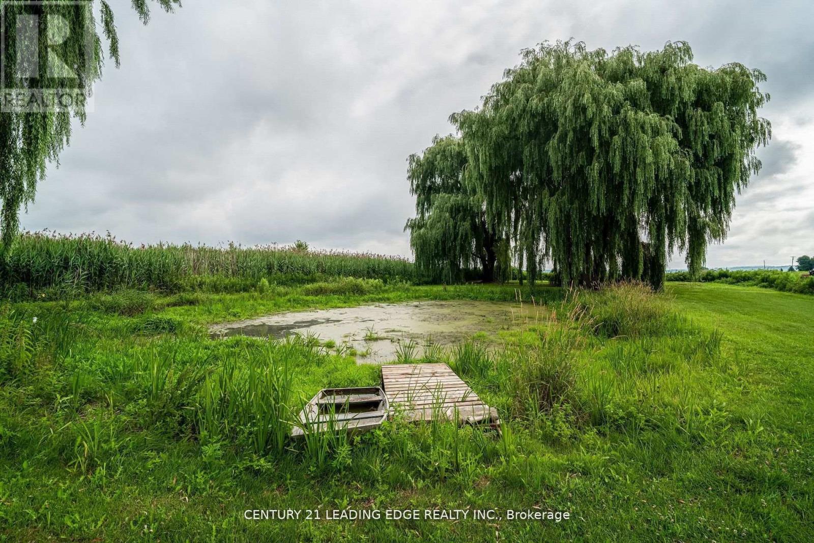 393 Canal Road, Bradford West Gwillimbury, Ontario  L3Z 2A6 - Photo 34 - N12863814