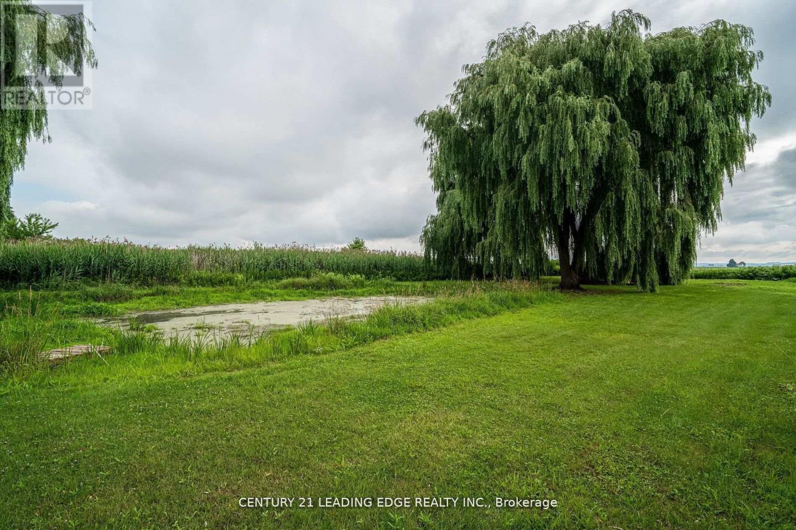 393 Canal Road, Bradford West Gwillimbury, Ontario  L3Z 2A6 - Photo 35 - N12863814