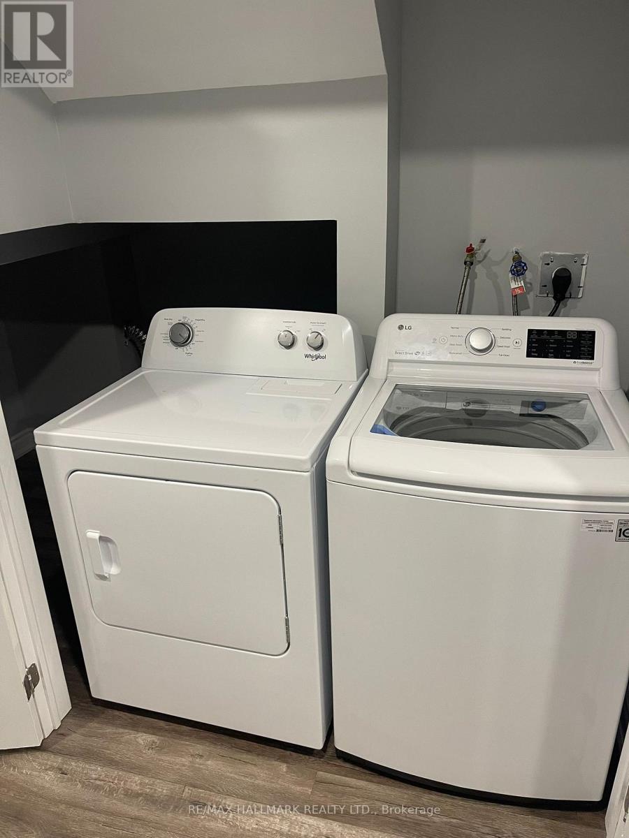 Lower - 21 Ladder Cres Crescent, East Gwillimbury (Sharon), Ontario  L0G 1V7 - Photo 21 - N12863924