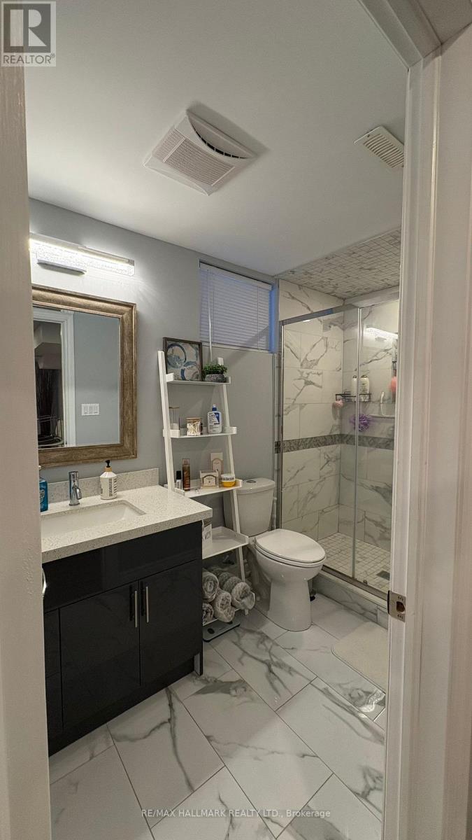 Lower - 21 Ladder Cres Crescent, East Gwillimbury (Sharon), Ontario  L0G 1V7 - Photo 8 - N12863924