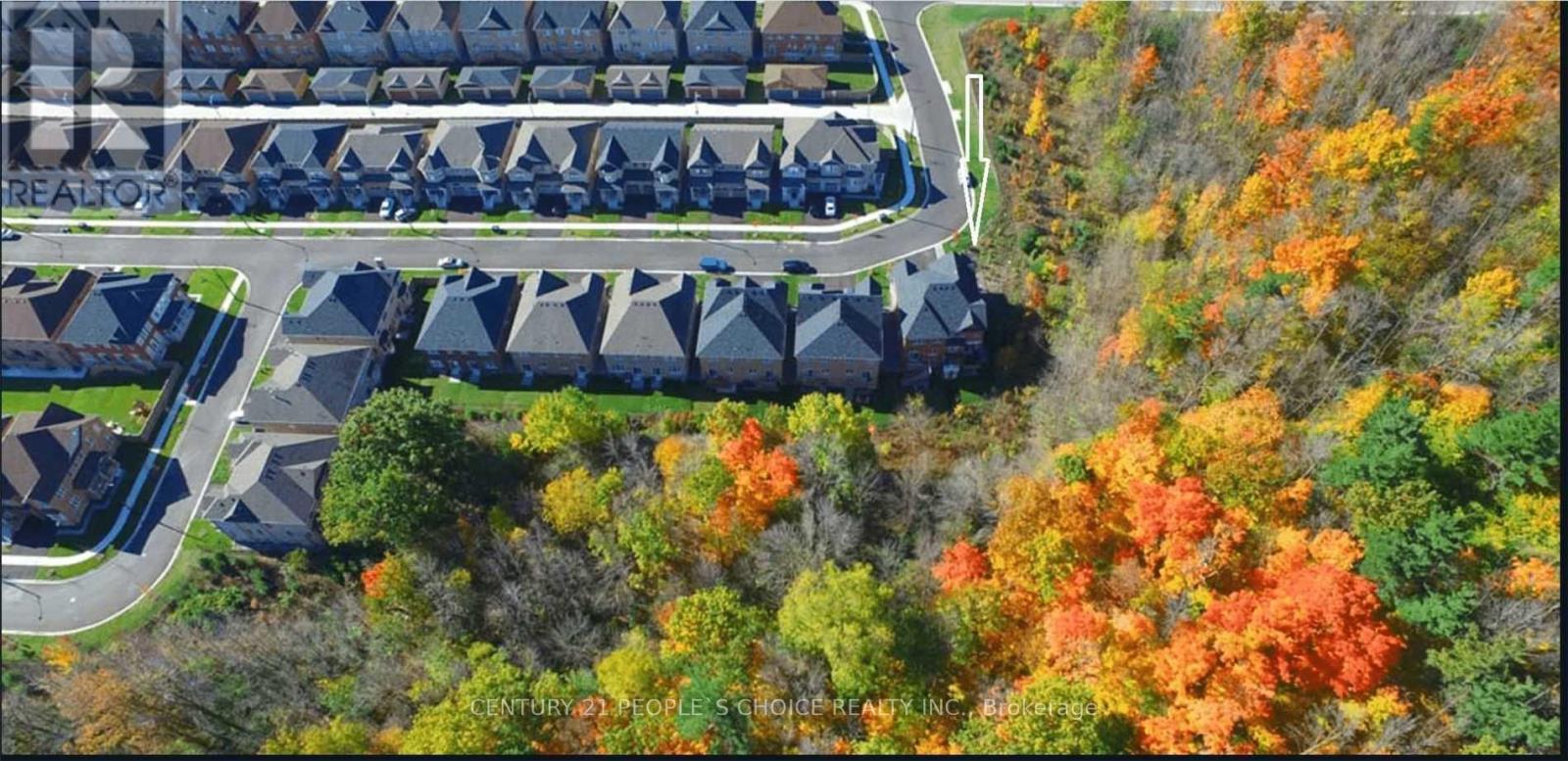 Upper - 5609 Meadowcrest Avenue, Mississauga, Ontario  L5M 0V1 - Photo 24 - W12863890