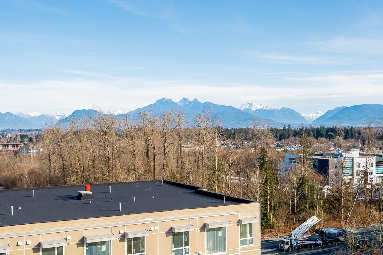 706 8551 201 Street, Langley, British Columbia  V2Y 3Y5 - Photo 31 - R3097724