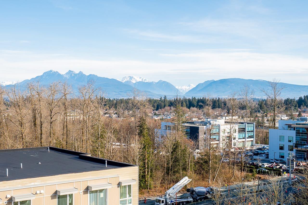 706 8551 201 Street, Langley, British Columbia  V2Y 3Y5 - Photo 30 - R3097724