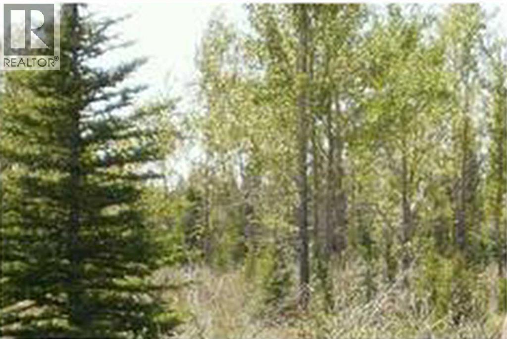 Range Road 55, Rural Mountain View County, Alberta  T0G 1X0 - Photo 3 - A2290384