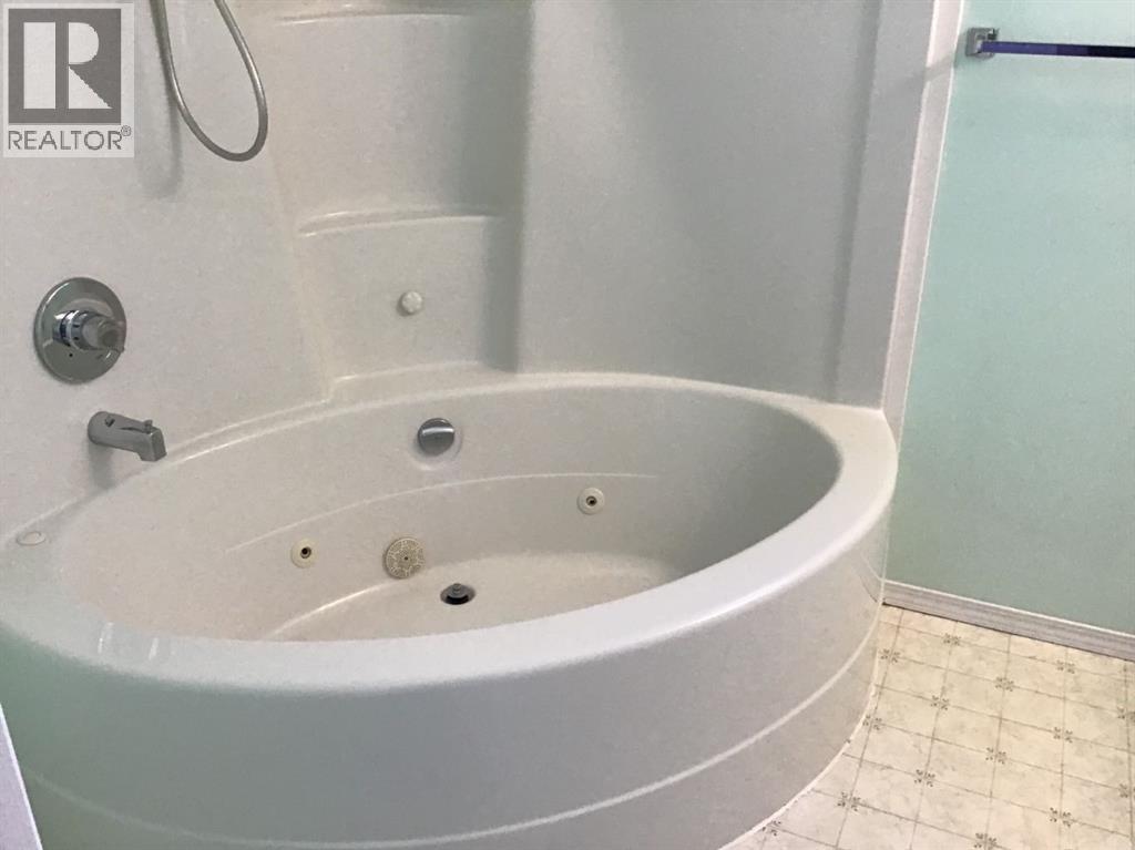 14 Jackson Place, Whitecourt, Alberta  T7S 1T9 - Photo 15 - A2291214