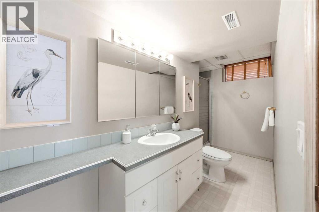 220 Mckenzie Lake Cove Se, Calgary, Alberta  T2Z 1M4 - Photo 39 - A2279570