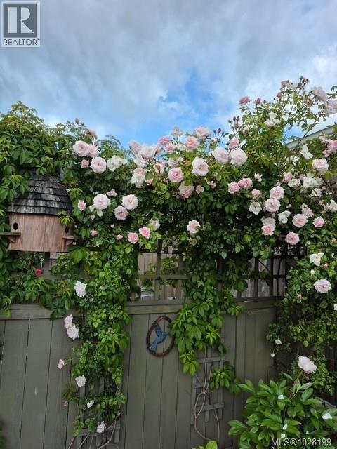 5 1749 Whibley Rd, Coombs, British Columbia  V0R 1M0 - Photo 25 - 1028199