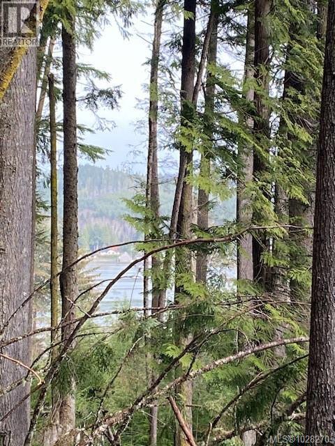 1 1st St, Sointula, British Columbia  V0N 3E0 - Photo 1 - 1028270