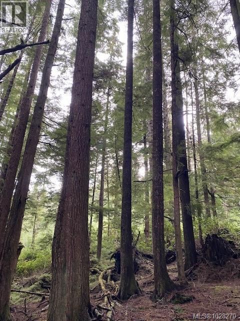 1 1st St, Sointula, British Columbia  V0N 3E0 - Photo 10 - 1028270