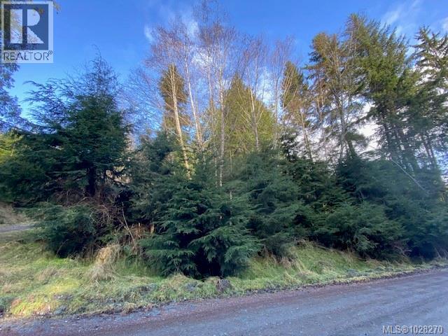 1 1st St, Sointula, British Columbia  V0N 3E0 - Photo 12 - 1028270