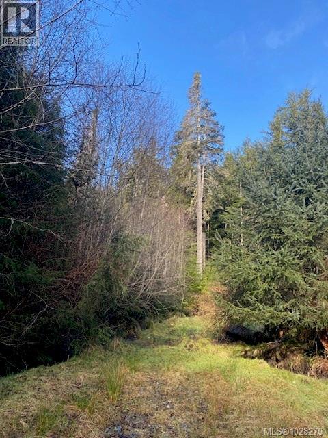 1 1st St, Sointula, British Columbia  V0N 3E0 - Photo 13 - 1028270