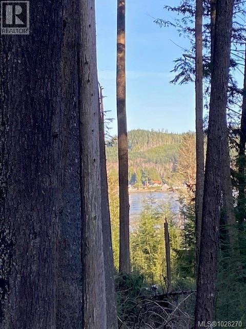 1 1st St, Sointula, British Columbia  V0N 3E0 - Photo 2 - 1028270