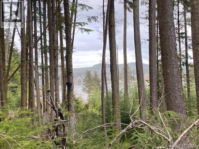 1 1st St, Sointula, British Columbia  V0N 3E0 - Photo 3 - 1028270