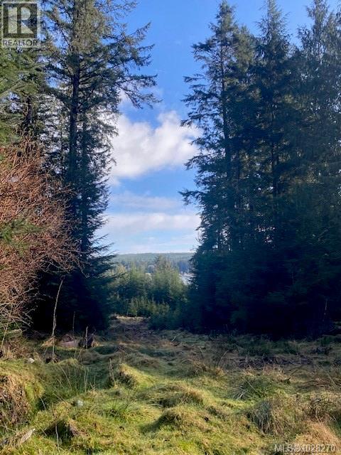 1 1st St, Sointula, British Columbia  V0N 3E0 - Photo 4 - 1028270