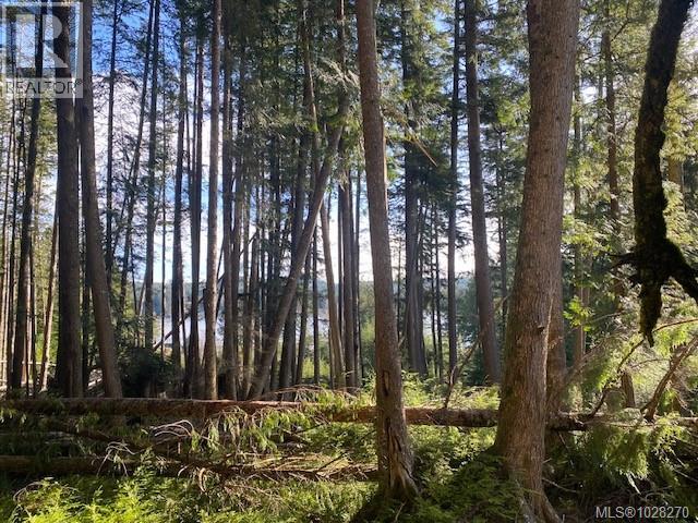 1 1st St, Sointula, British Columbia  V0N 3E0 - Photo 5 - 1028270