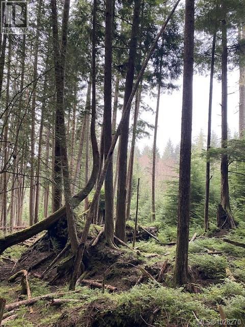 1 1st St, Sointula, British Columbia  V0N 3E0 - Photo 9 - 1028270