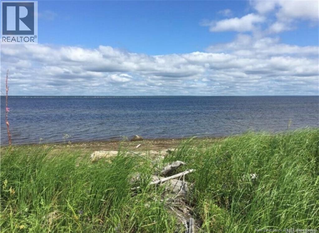8.18 Acres Point Aux Carr Road, Napan, New Brunswick  E1N 6B5 - Photo 1 - NB134711