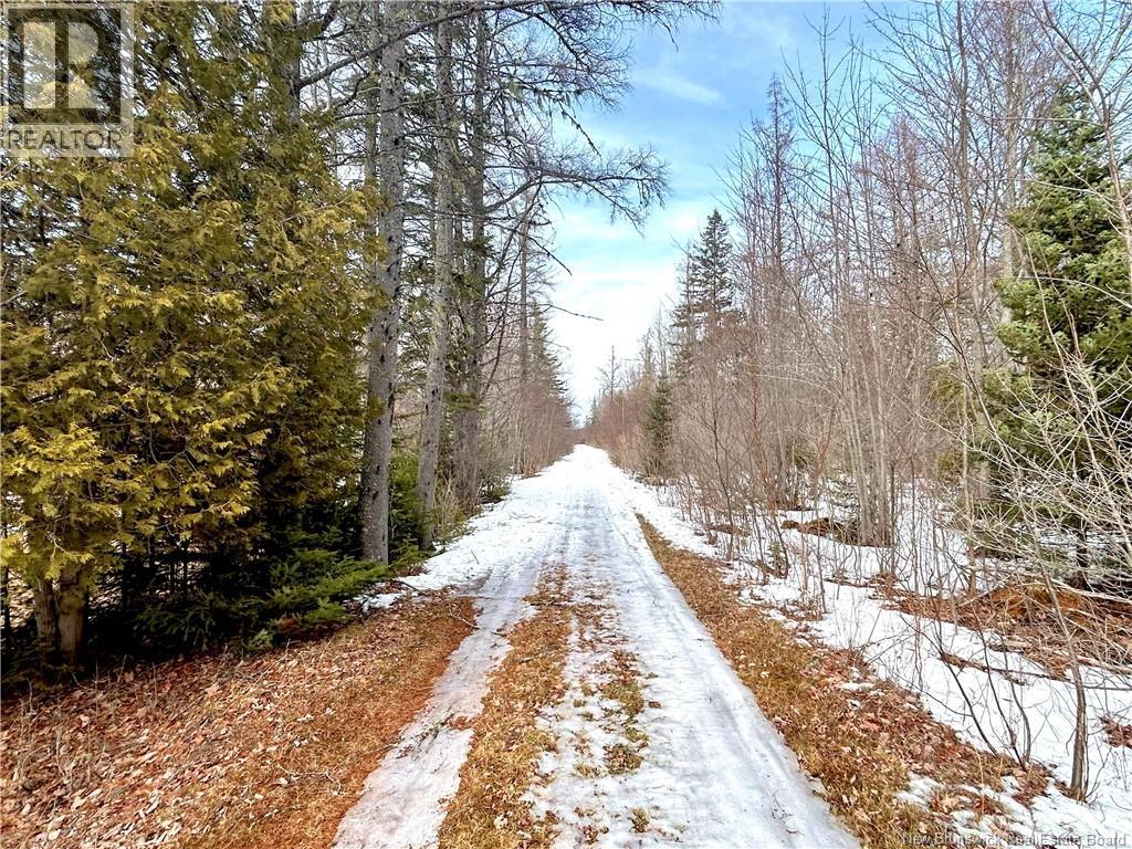 8.18 Acres Point Aux Carr Road, Napan, New Brunswick  E1N 6B5 - Photo 6 - NB134711