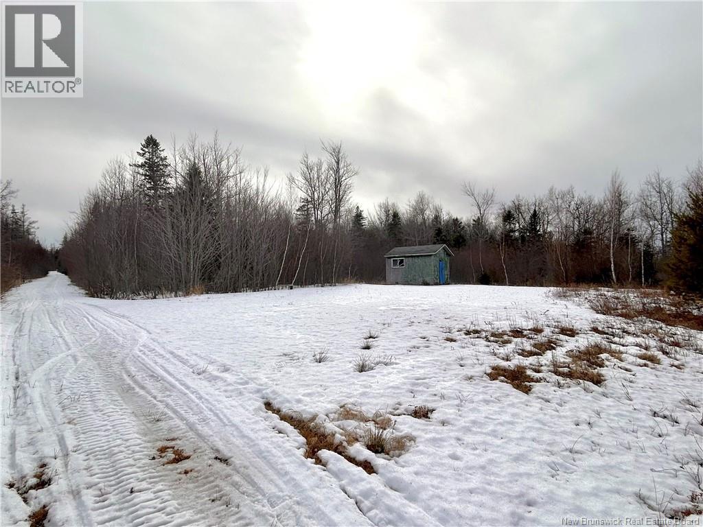 8.18 Acres Point Aux Carr Road, Napan, New Brunswick  E1N 6B5 - Photo 7 - NB134711