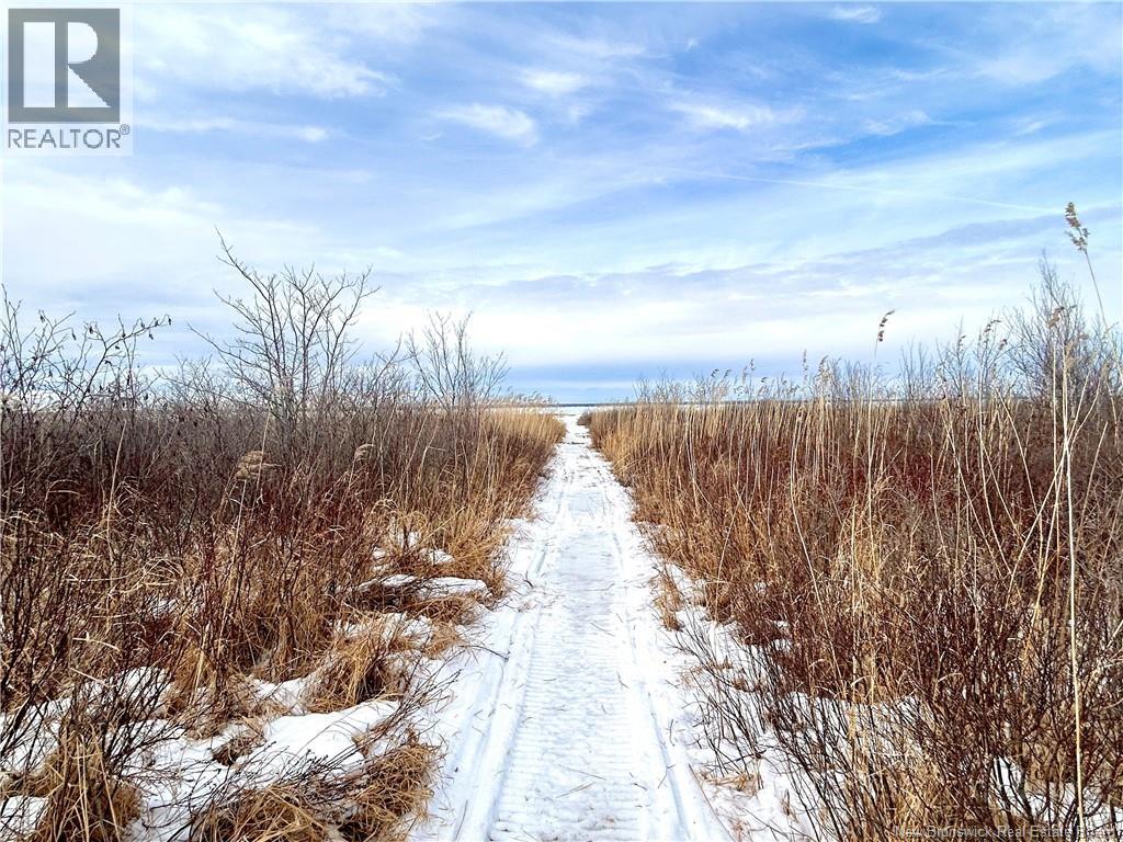 8.18 Acres Point Aux Carr Road, Napan, New Brunswick  E1N 6B5 - Photo 9 - NB134711