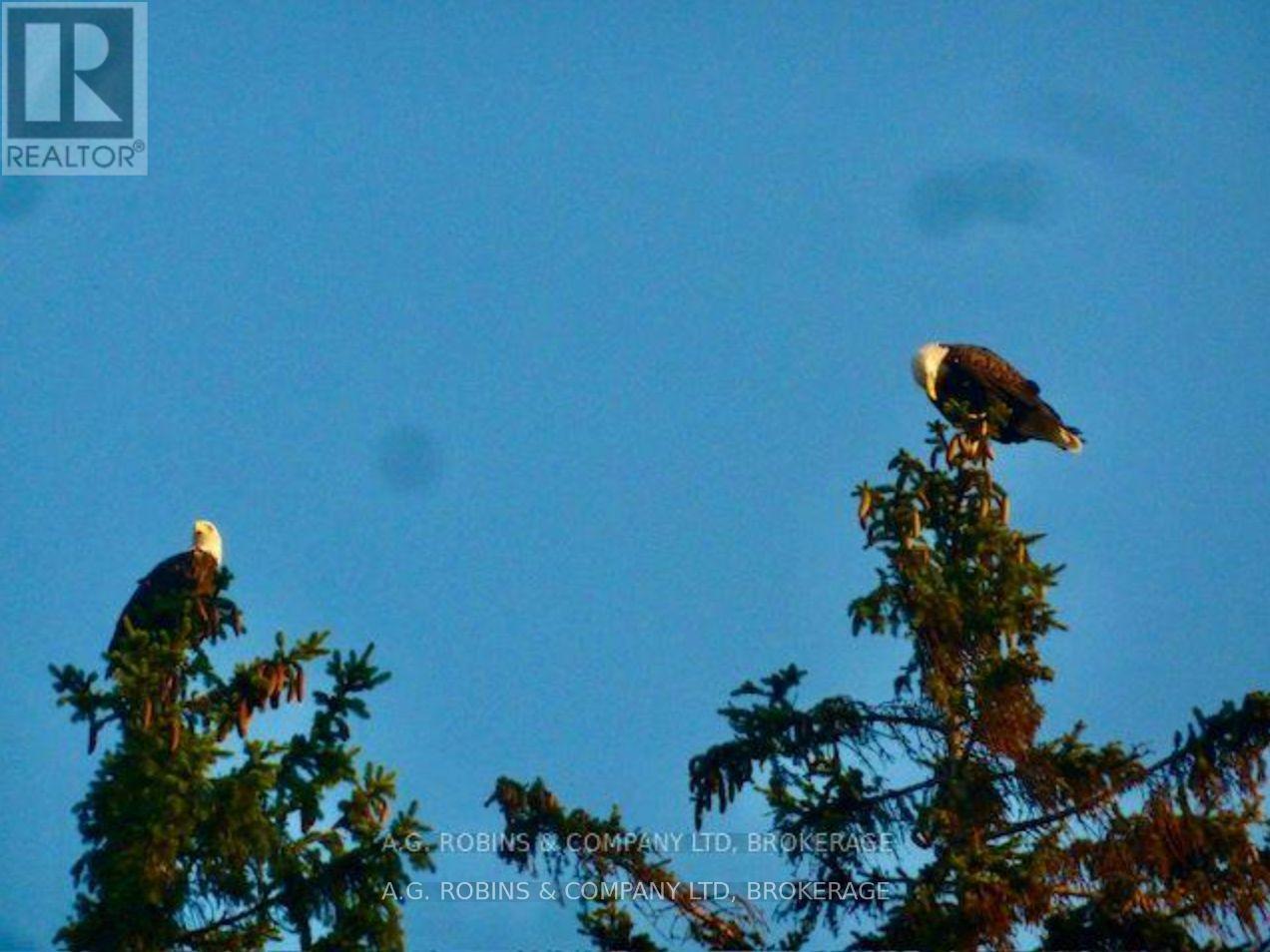 10773 Lakeshore Road, Wainfleet, Ontario  L0S 1V0 - Photo 43 - X12707878