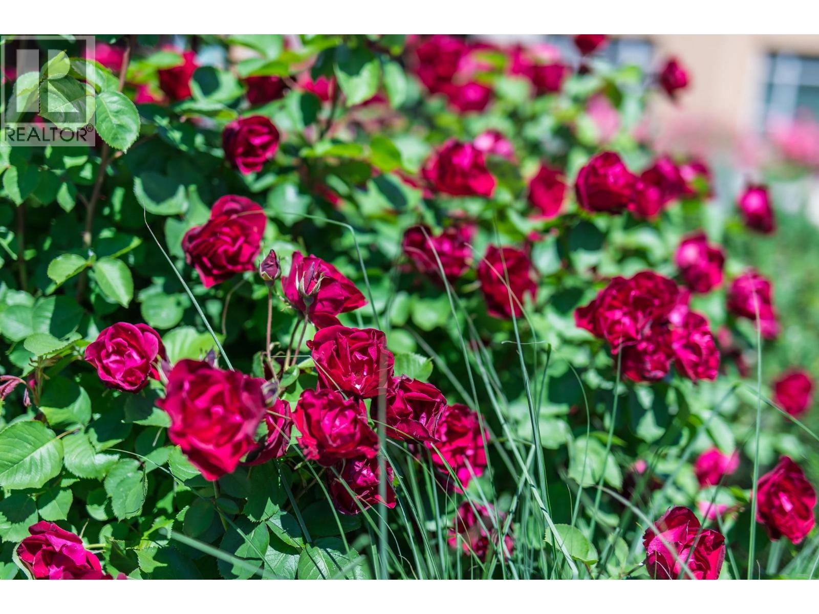 304-15 Park Place, Osoyoos, British Columbia  V0H 1V0 - Photo 87 - 10378678