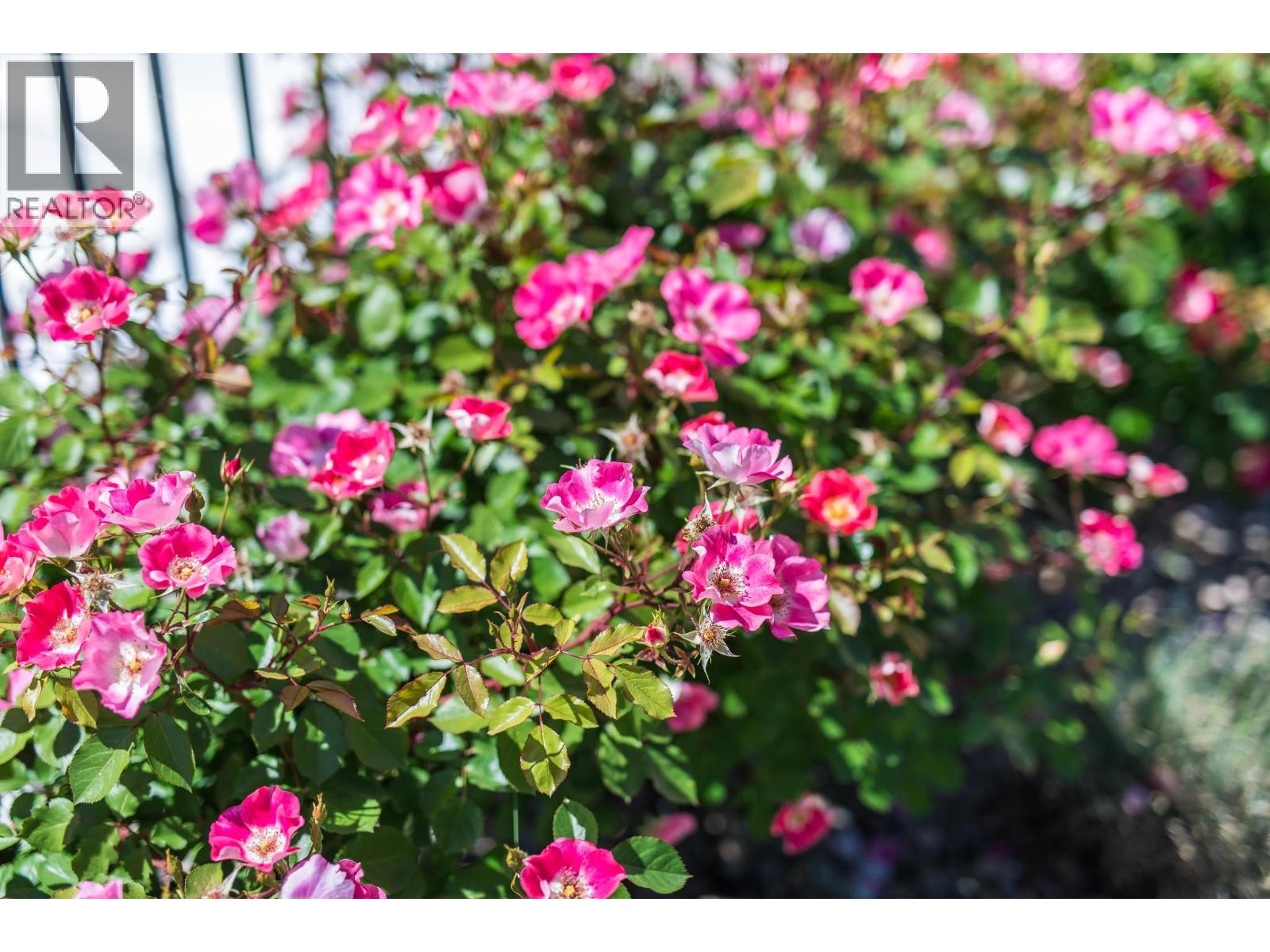 304-15 Park Place, Osoyoos, British Columbia  V0H 1V0 - Photo 89 - 10378678