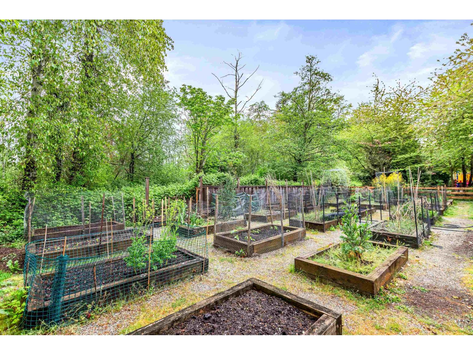 15 18983 72a Avenue, Surrey, British Columbia  V4N 1A5 - Photo 30 - R3097826