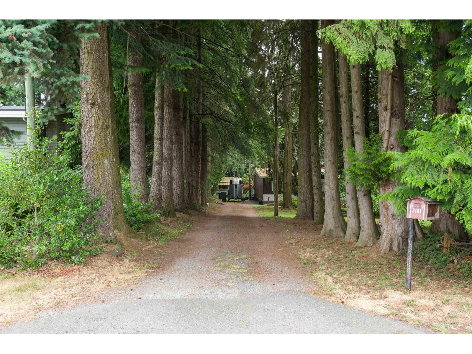 2161 Martens Street, Abbotsford, British Columbia  V2T 6M6 - Photo 4 - R3097468