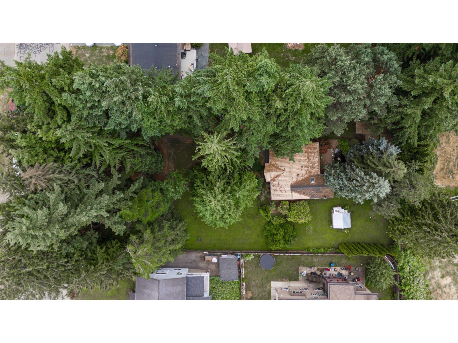 2161 Martens Street, Abbotsford, British Columbia  V2T 6M6 - Photo 9 - R3097468