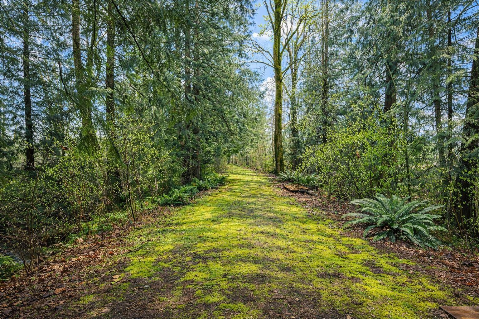 22558 Old Yale Road, Langley, British Columbia  V2Z 2V4 - Photo 36 - R3097296