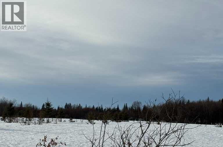 843001, Range Road 31 W6-3-84-24 Nw & Sw, Rural Clear Hills County, Alberta  T0H 2A0 - Photo 8 - A2281214