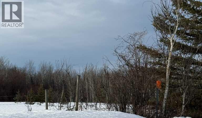 843001, Range Road 31 W6-3-84-24 Nw & Sw, Rural Clear Hills County, Alberta  T0H 2A0 - Photo 11 - A2281214