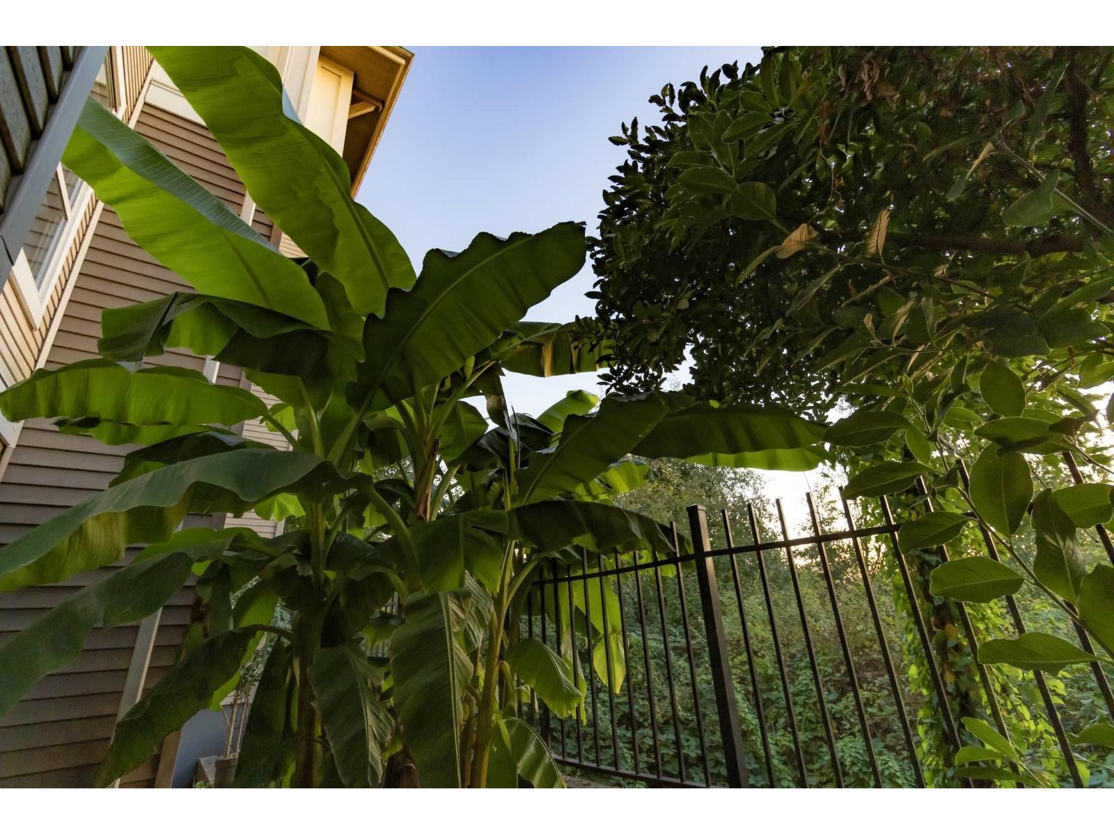 C111 8929 202 Street, Langley, British Columbia  V1M 0B4 - Photo 30 - R3097780