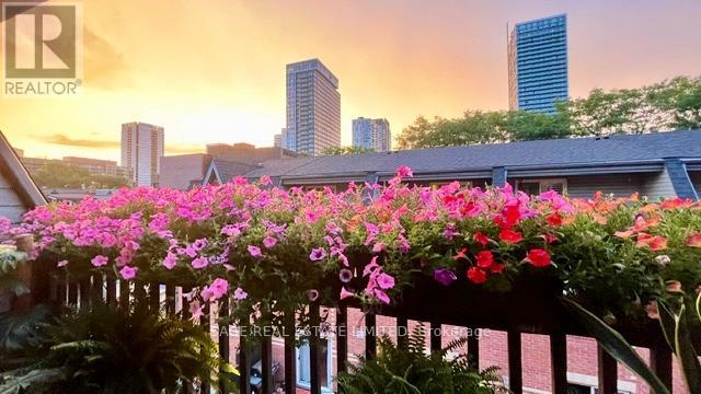 6 Old Trillium Lane, Toronto, Ontario  M5A 4T2 - Photo 36 - C12864378