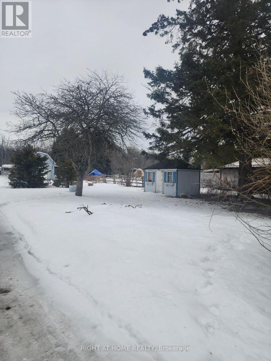 20145 Bathurst Street, East Gwillimbury, Ontario  L9N 1N3 - Photo 6 - N12864412