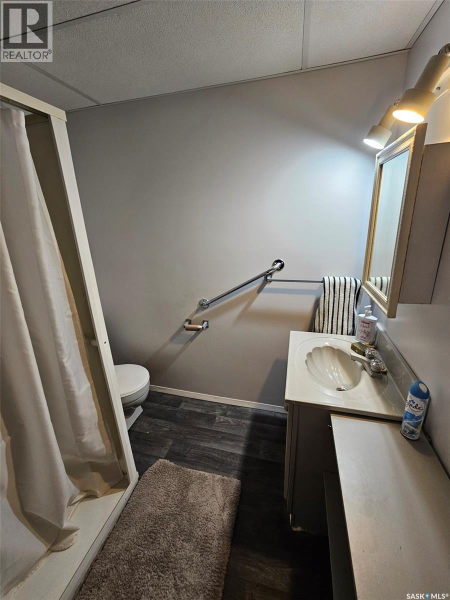 311 6th Street W, Carlyle, Saskatchewan  S0C 0R0 - Photo 24 - SK029907