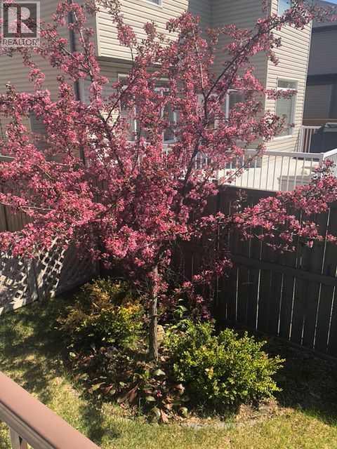 199 Hawkmere Road, Chestermere, Alberta  T1X 1T4 - Photo 34 - A2290630