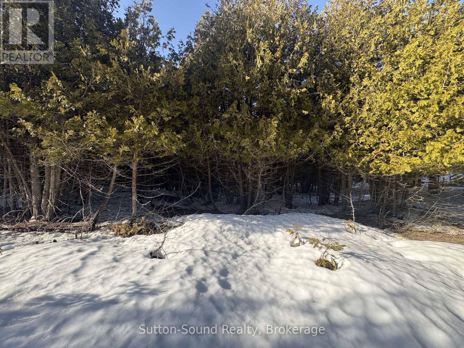 146 Sutter Road, Northern Bruce Peninsula, Ontario  N0H 1W0 - Photo 2 - X12864826