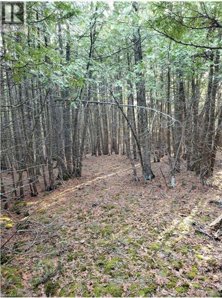 146 Sutter Road, Northern Bruce Peninsula, Ontario  N0H 1W0 - Photo 5 - X12864826