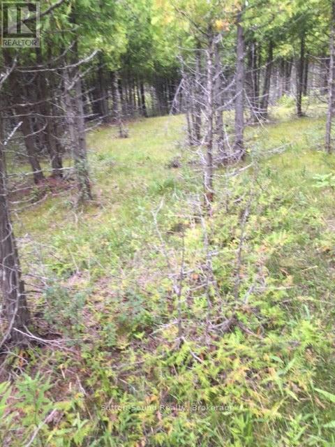 146 Sutter Road, Northern Bruce Peninsula, Ontario  N0H 1W0 - Photo 7 - X12864826