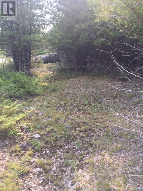 146 Sutter Road, Northern Bruce Peninsula, Ontario  N0H 1W0 - Photo 8 - X12864826