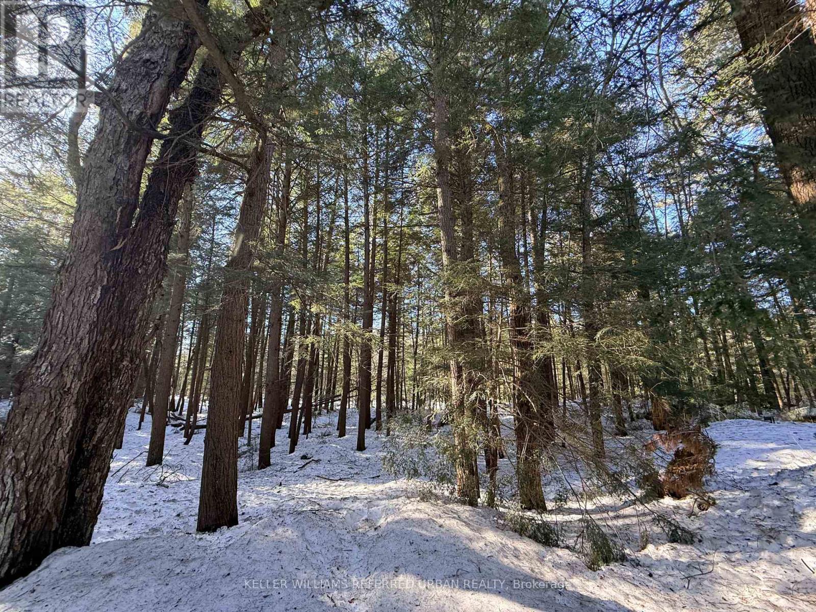 1118 Pine Lake Shores, Bracebridge, Ontario  P1L 1X3 - Photo 34 - X12814916