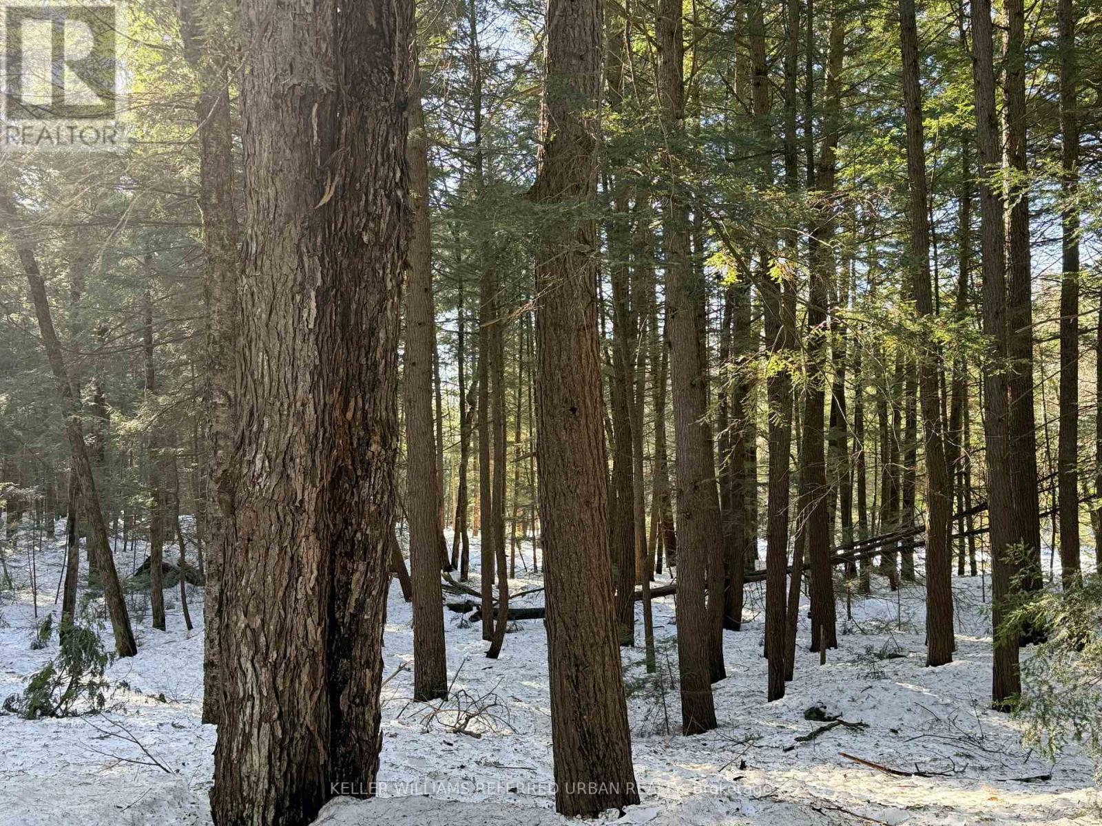 1118 Pine Lake Shores, Bracebridge, Ontario  P1L 1X3 - Photo 35 - X12814916