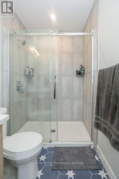 17 Evylean Court, St. Thomas, Ontario  N5R 0P6 - Photo 19 - X12864964