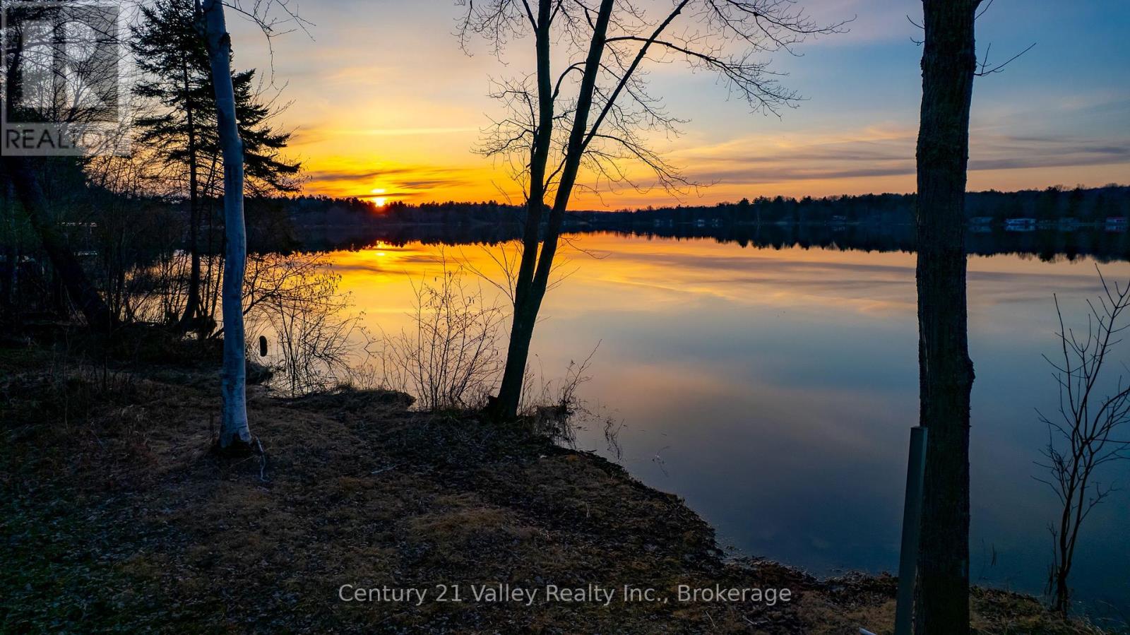 91 Muskie Lane, North Algona Wilberforce, Ontario  K0J 1X0 - Photo 42 - X12864998
