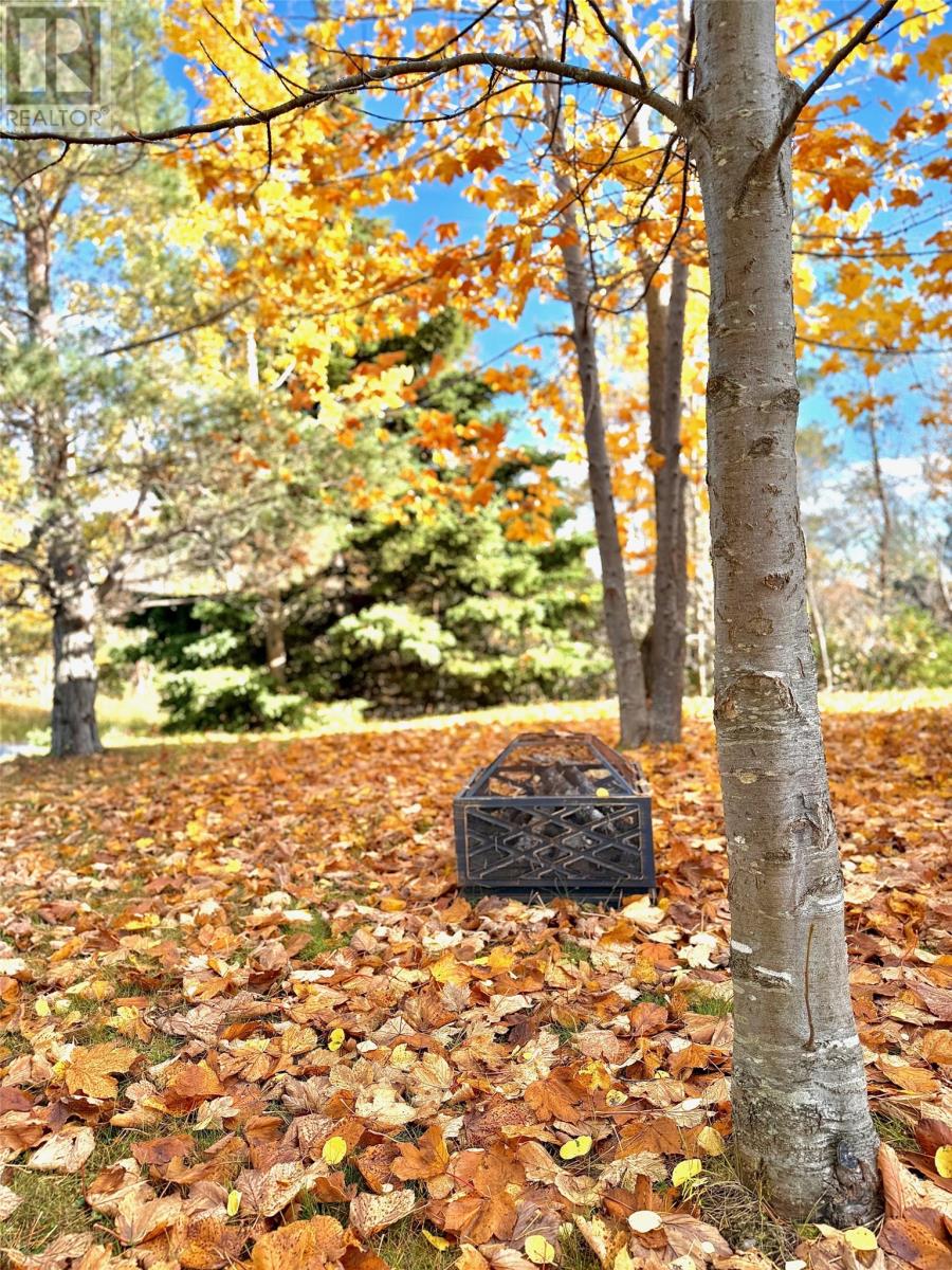 2 Meade View Road, Clarenville, Newfoundland & Labrador  A5A 4M4 - Photo 28 - 1295087