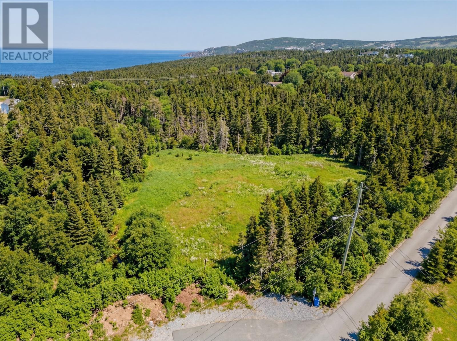 1 Sallesnik Lane, Torbay, Newfoundland & Labrador  A1K 0B4 - Photo 12 - 1295074