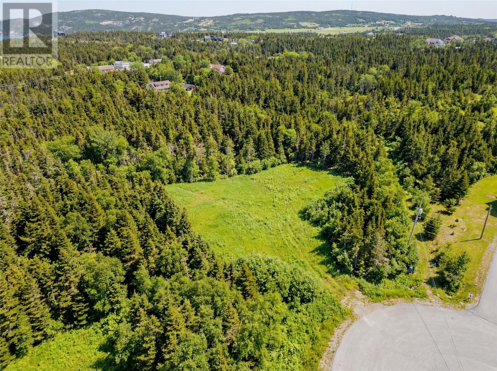 1 Sallesnik Lane, Torbay, Newfoundland & Labrador  A1K 0B4 - Photo 13 - 1295074